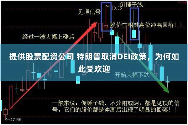 提供股票配资公司 特朗普取消DEI政策，为何如此受欢迎