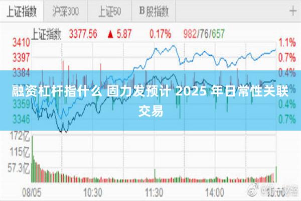 融资杠杆指什么 固力发预计 2025 年日常性关联交易